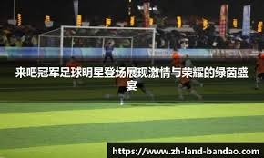 中超比赛回放：北京国安2-1战胜广州队,